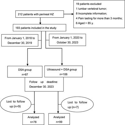 Ultrasound combined with DSA-guided pulsed radiofrequency for perineal herpes zoster pain management: clinical outcomes and complications